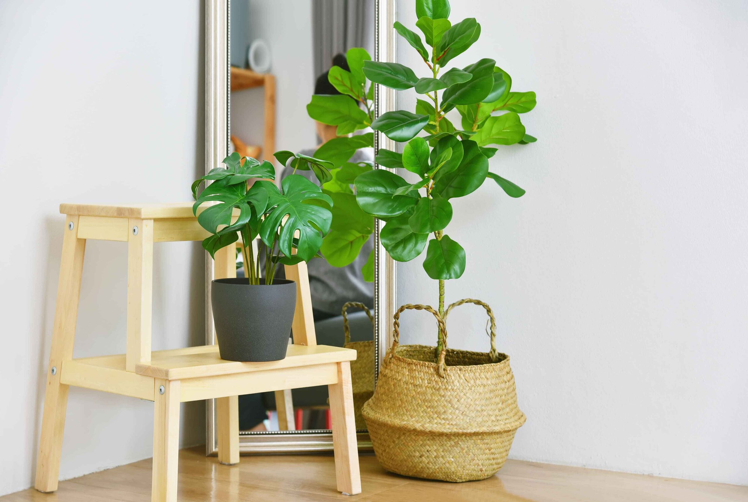4 ideas for choosing the right plants for condo residents with a green heart