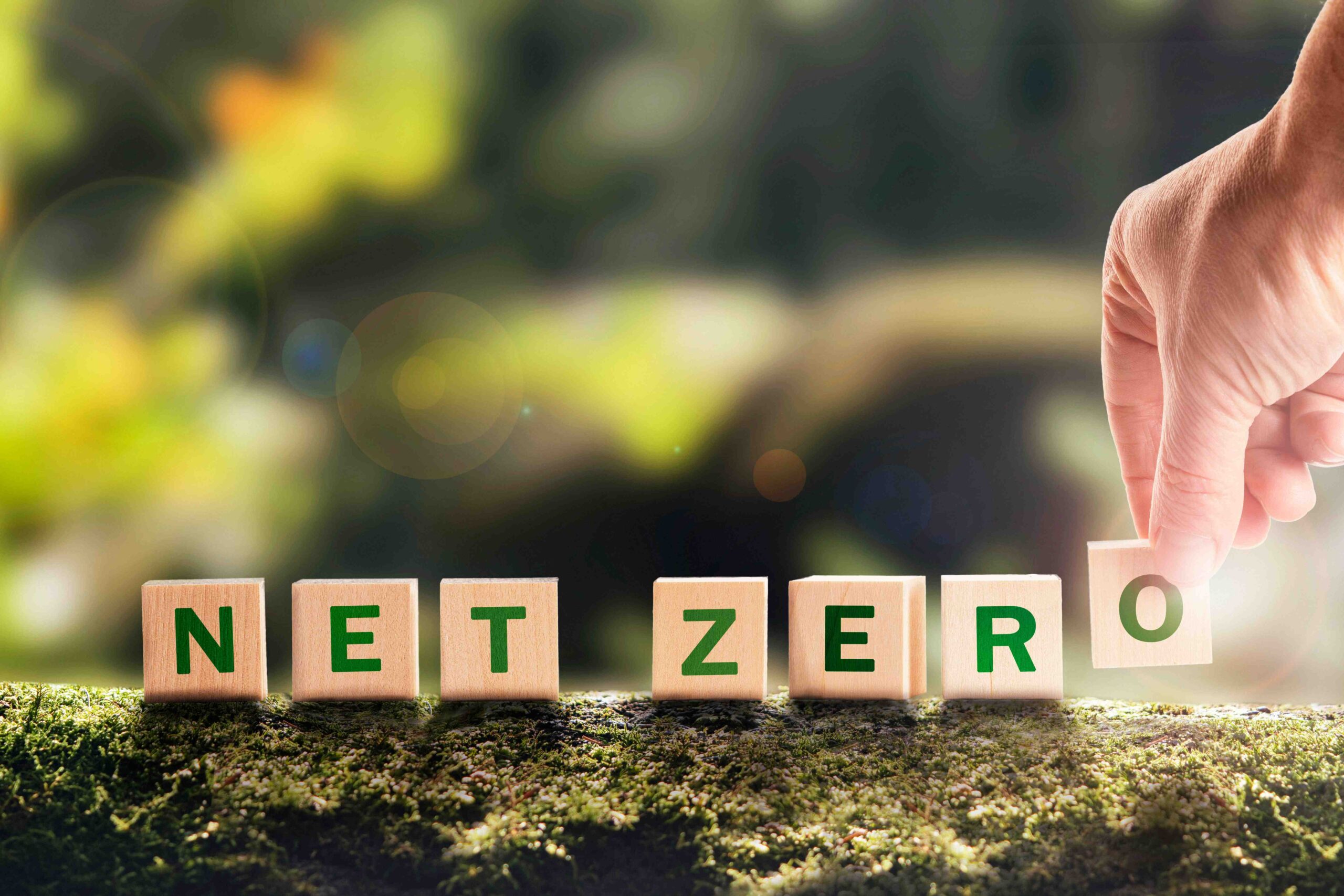 What does “Net Zero” mean? Why is “Tree” one of the assistants who can all confirm “yes”?